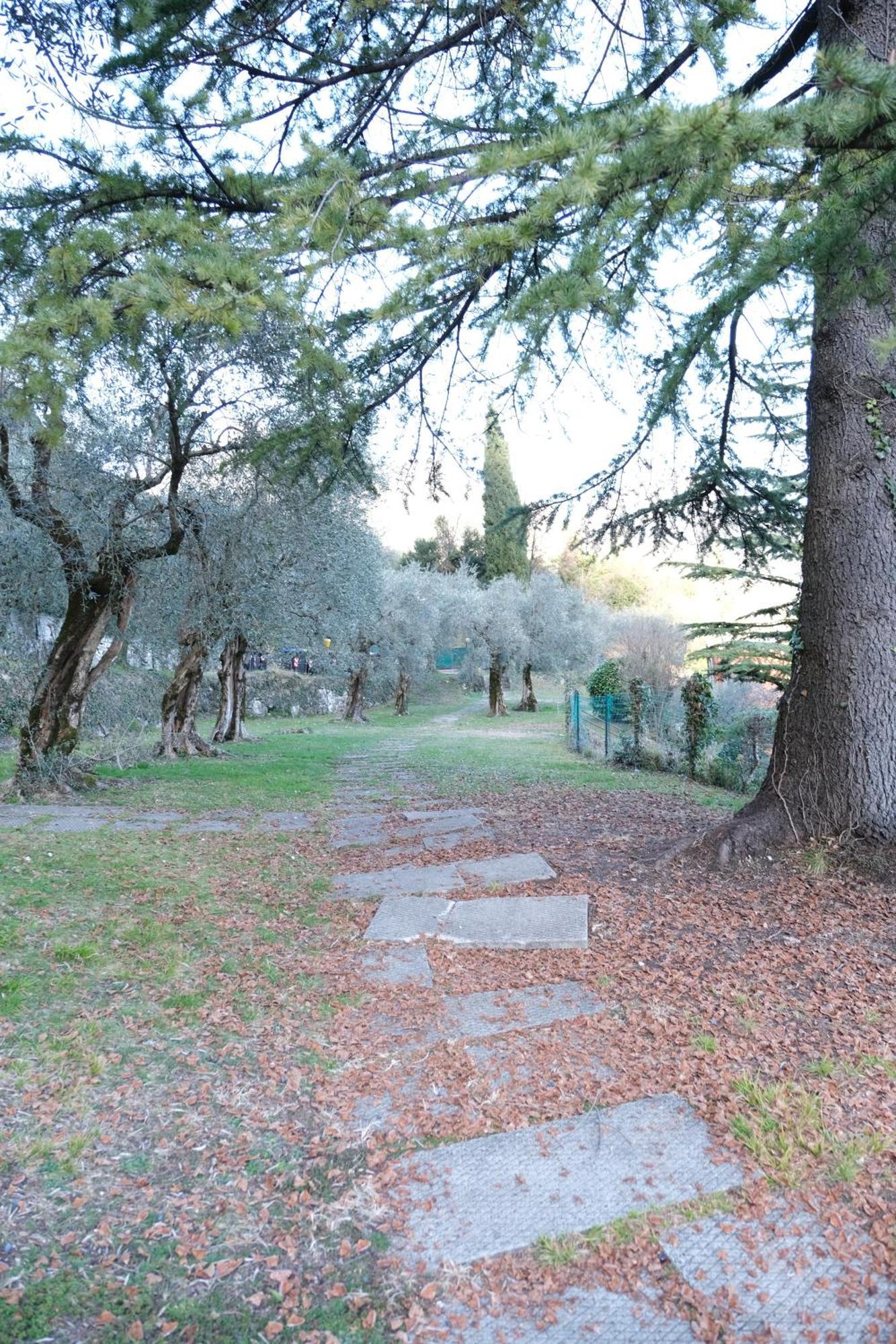 Casa Segantini - Panorama Pool Apartment Gavazzo Nuova Eksteriør billede
