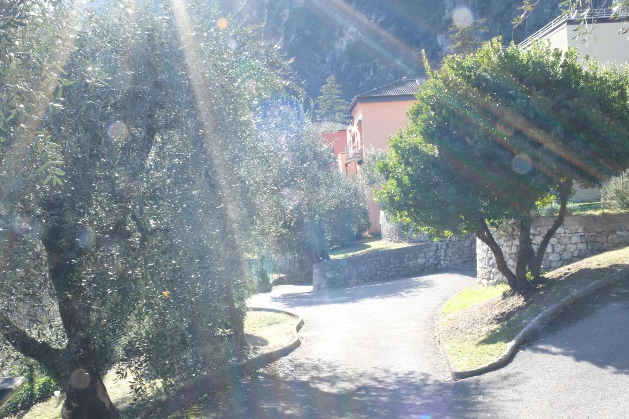 Casa Segantini - Panorama Pool Apartment Gavazzo Nuova Eksteriør billede