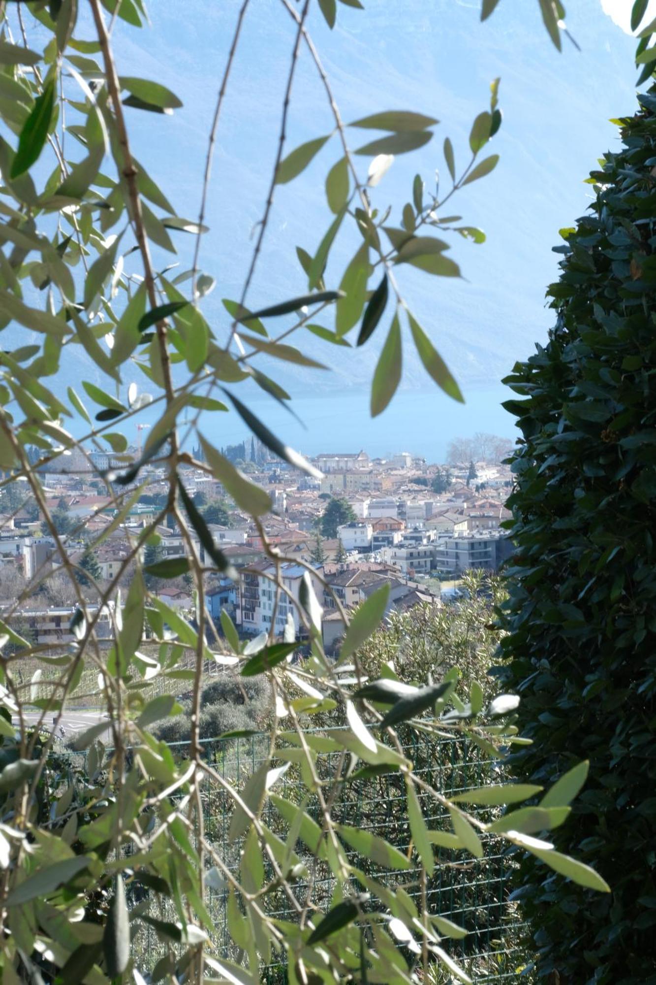 Casa Segantini - Panorama Pool Apartment Gavazzo Nuova Eksteriør billede
