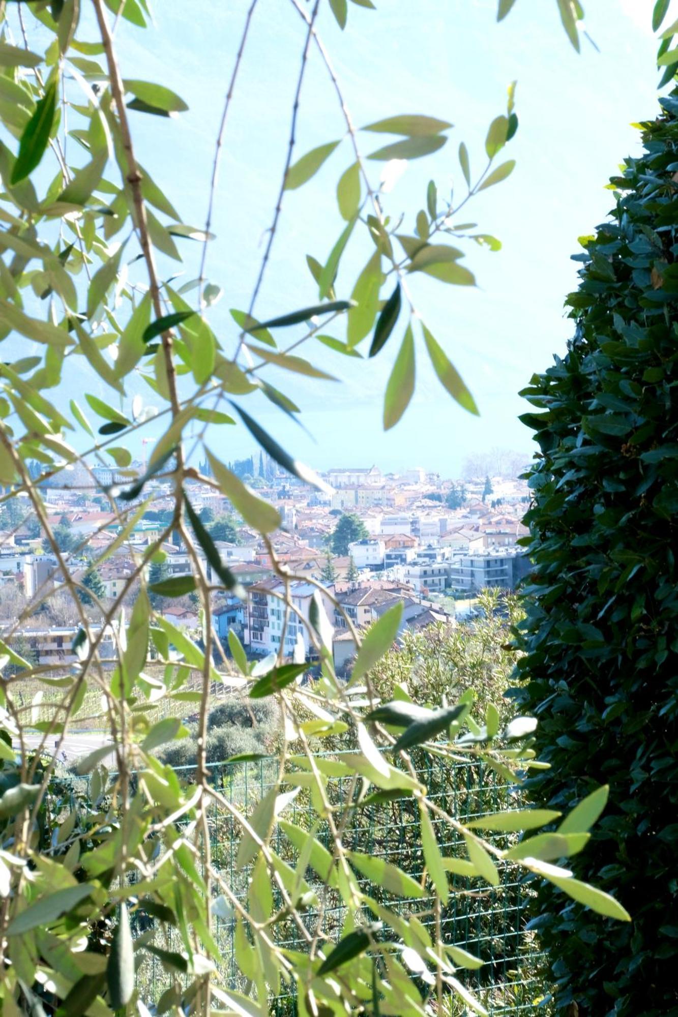 Casa Segantini - Panorama Pool Apartment Gavazzo Nuova Eksteriør billede
