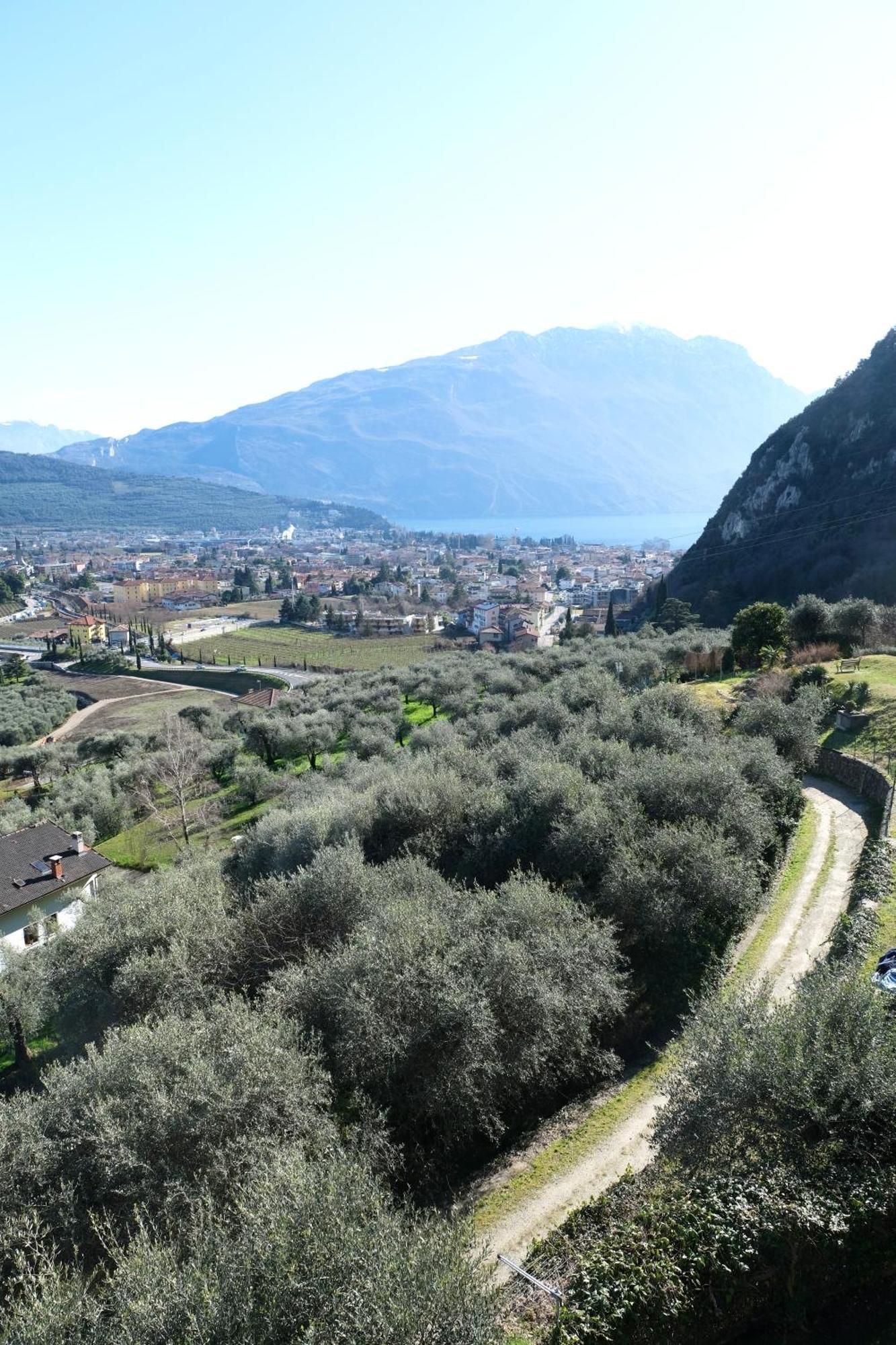 Casa Segantini - Panorama Pool Apartment Gavazzo Nuova Eksteriør billede